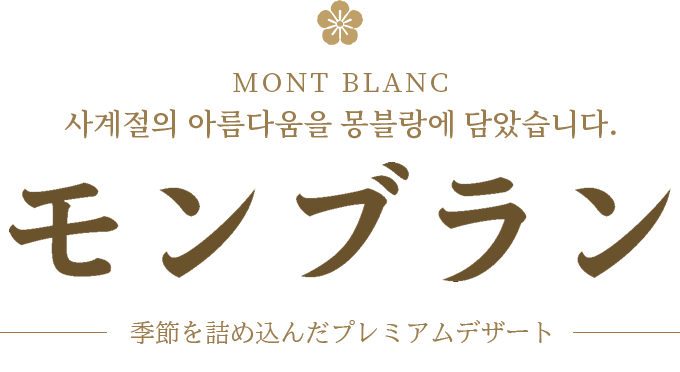 대문카피